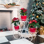 Подставка под цветы металлическая 70-043-WG