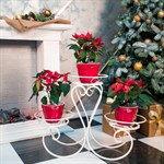 Кованая подставка под цветы 70-043-WG