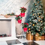 Подставка для растений металлическая 18-103-WG