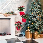 Кованая подставка для растений 18-103-WG