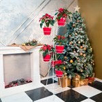 Металлическая подставка для 9 растений 17-019-WG