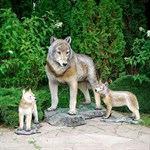 Волчица из стеклопластика купить Волчица из стеклопластика купить