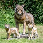 Фигура из стеклопластика Волчица Фигура из стеклопластика Волчица