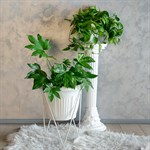 Подставка для одного растения