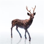 Садовая скульптура косуля