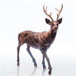 Скульптура для сада