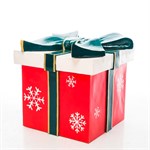 Фигура Подарок новогодний U09038 U09038 - фото 73134