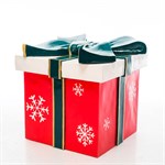 Фигура Подарок новогодний U09038 U09038 - фото 73137