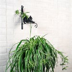 Купить кронштейн для растений