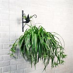 Настенный металлический кронштейн для цветов на HITSAD.ru Настенный металлический кронштейн для цветов на HITSAD.ru