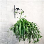 Кронштейн для цветов на HITSAD.ru Кронштейн для цветов на HITSAD.ru