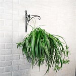 Купить кронштейн для цветов на HITSAD.ru Купить кронштейн для цветов на HITSAD.ru