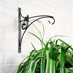 Настенный металлический кронштейн для цветов Настенный металлический кронштейн для цветов