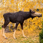 Садовая фигура из стеклопластика на HITSAD.ru