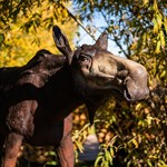 Фигура Лосиха из стеклопластика