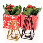 Кованые подсвечники