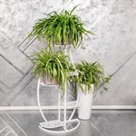 Подставка для цветов  501-006 напольная