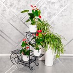 Стойка для цветов кованая 401-002