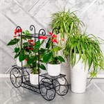 Кованая стойка для цветов 401-003