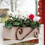 Кронштейн для цветов на балкон 51-263