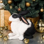 Символ 2023 года