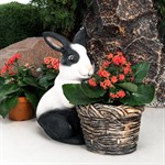 Кашпо для озеленения