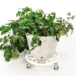 Подставка для цветов на колесиках 21-002