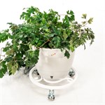 Подставка для цветов на колесиках 21-006