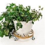 Подставка для цветов на колесиках