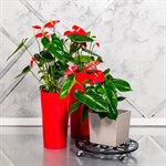 Напольная подставка для цветов