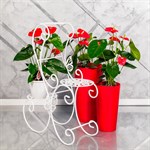 Стойка для цветов