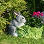 Кашпо для растений