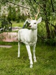 Садовая фигура Олень