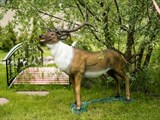 Фигура садово-парковая Олень U09014 стеклопластик h=111 см U09014 - фото 79619 Фигура садово-парковая Олень U09014 стеклопластик h=111 см U09014 - фото 79619