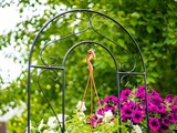 Металлическая шпалера для вьющихся растений