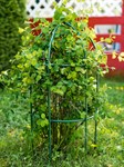 металлическая опора для цветов