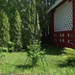 Опора для растений