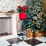 Подставка для цветов 70-702 70-702 - фото 80539 Подставка для цветов 70-702 70-702 - фото 80539