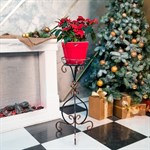 Подставка для цветов 70-702 70-702 - фото 80540 Подставка для цветов 70-702 70-702 - фото 80540