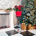 Подставка для цветов 70-702 70-702 - фото 80541 Подставка для цветов 70-702 70-702 - фото 80541