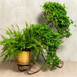 Подставка на три растения