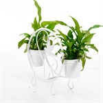 Оригинальный подарок