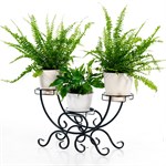 Оригинальный подарок