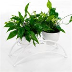 оригинальный подарок