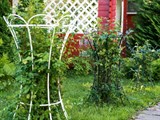 опоры для садовых растений
