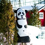 Укрывной материал для растений на зиму