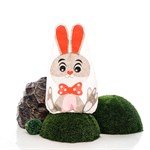 Укрывной колпак для растений на зиму