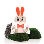 Укрытие для растений на зиму