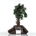 Приствольный круг для растений