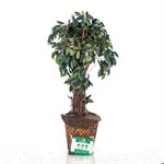 Приствольный круг 3 шт H202-05 диаметр 40 см H202-05 - фото 83354